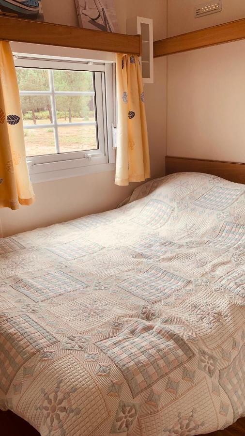 Petite Maison Dans La Prairie Cabanac-et-Villagrains Ngoại thất bức ảnh